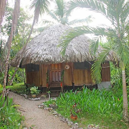 Sun Creek Lodge Punta Gorda Bagian luar foto