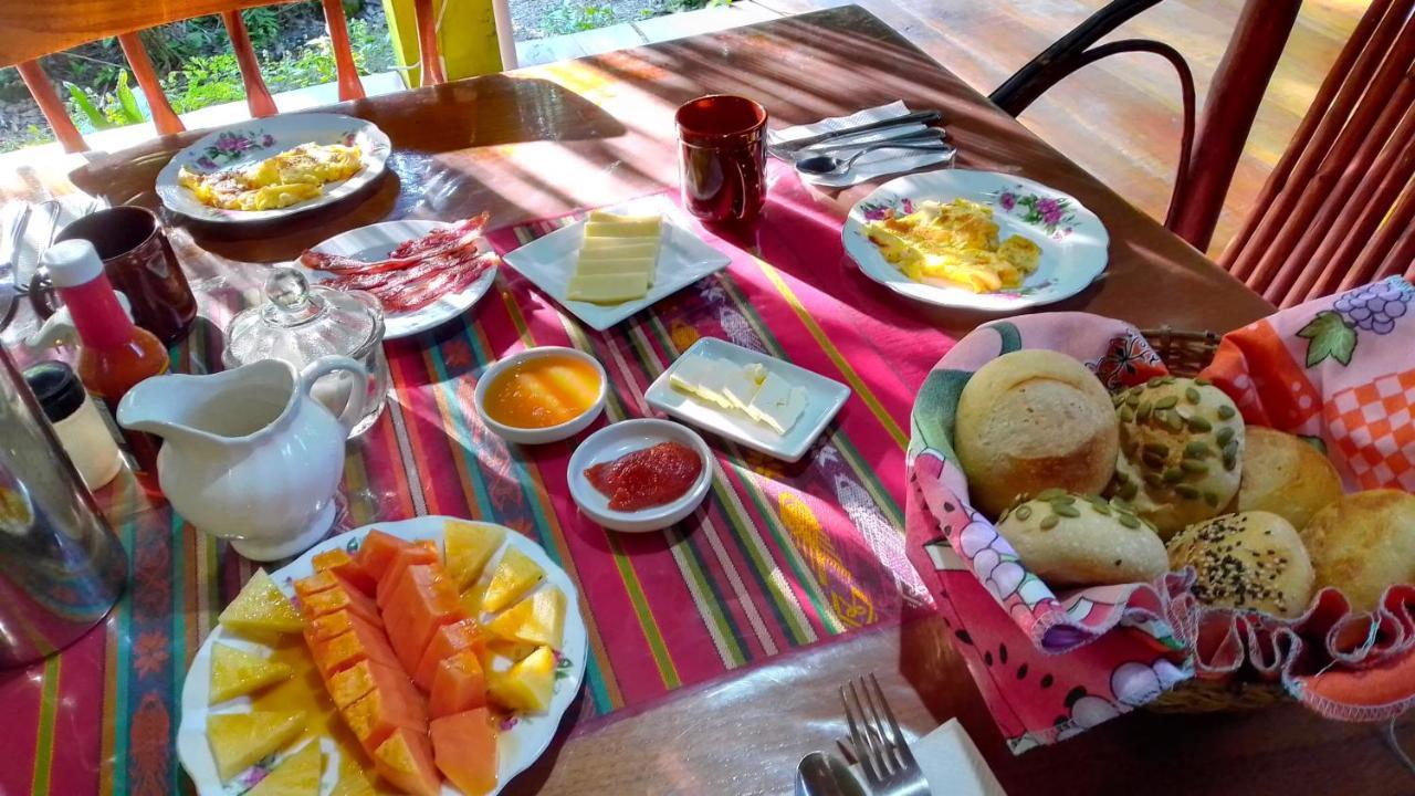 Sun Creek Lodge Punta Gorda Bagian luar foto