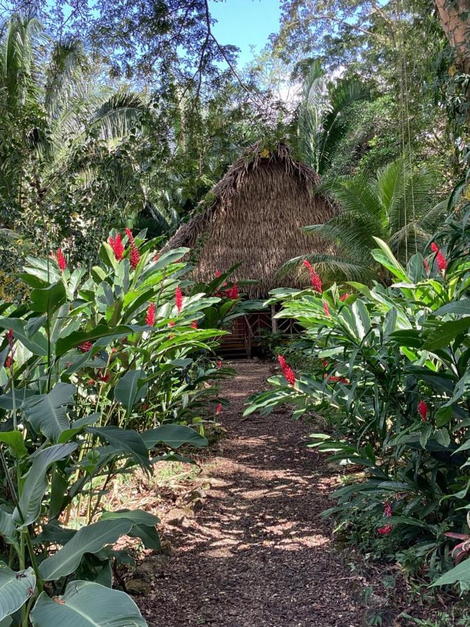 Sun Creek Lodge Punta Gorda Bagian luar foto