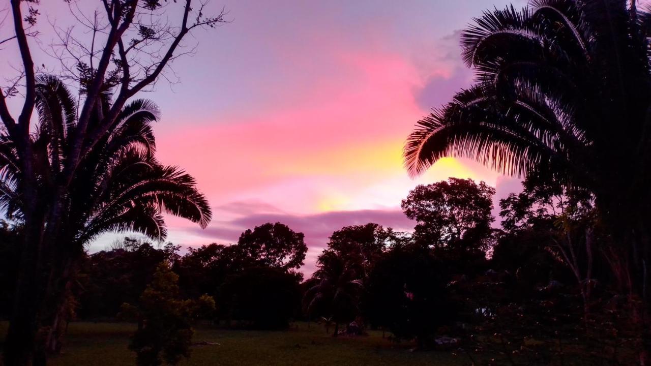 Sun Creek Lodge Punta Gorda Bagian luar foto