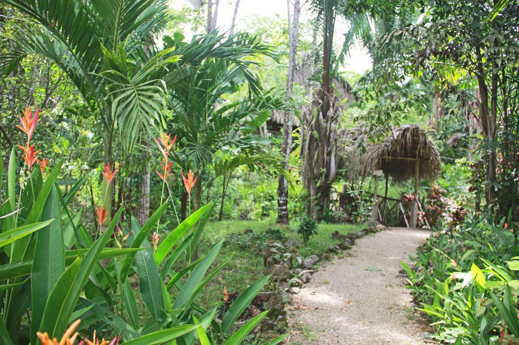 Sun Creek Lodge Punta Gorda Bagian luar foto