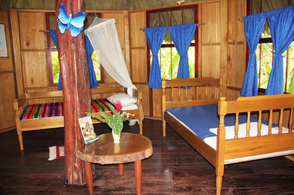 Sun Creek Lodge Punta Gorda Ruang foto