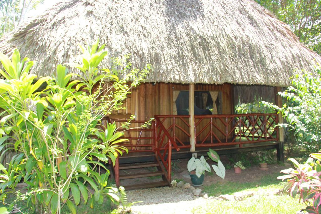 Sun Creek Lodge Punta Gorda Bagian luar foto