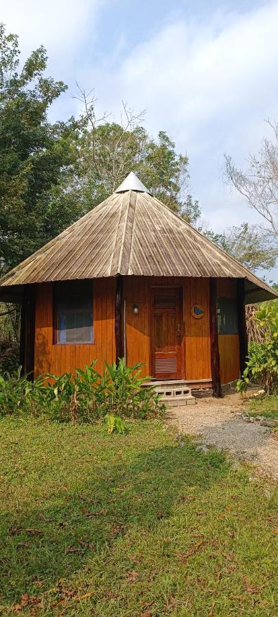 Sun Creek Lodge Punta Gorda Bagian luar foto