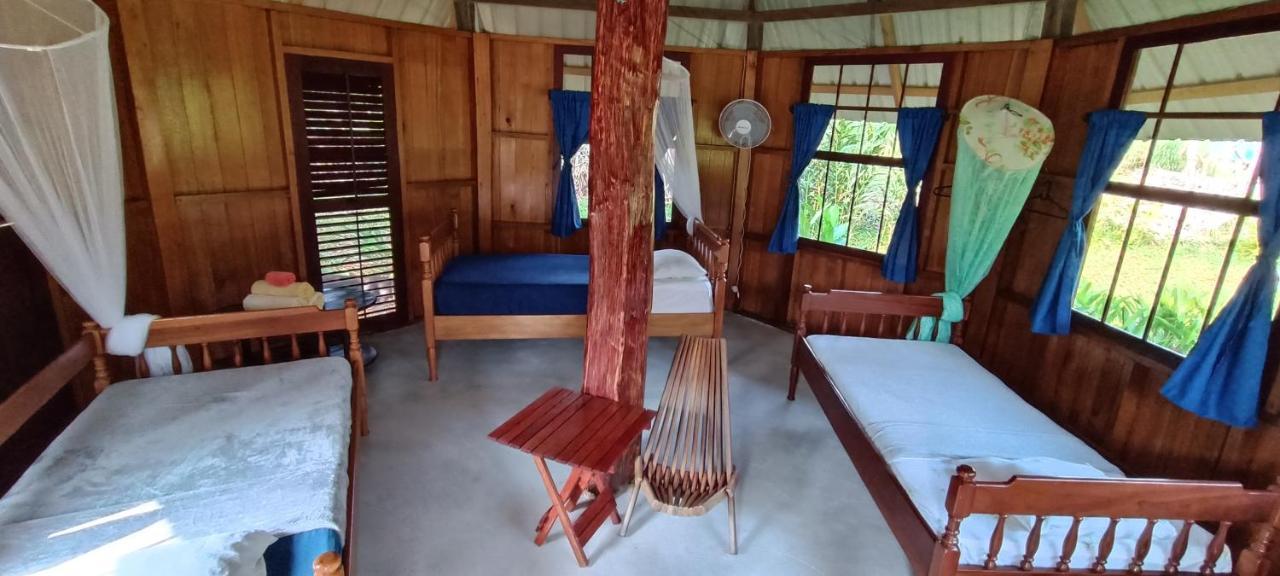 Sun Creek Lodge Punta Gorda Bagian luar foto