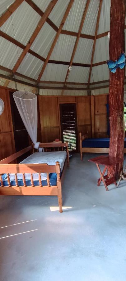 Sun Creek Lodge Punta Gorda Bagian luar foto