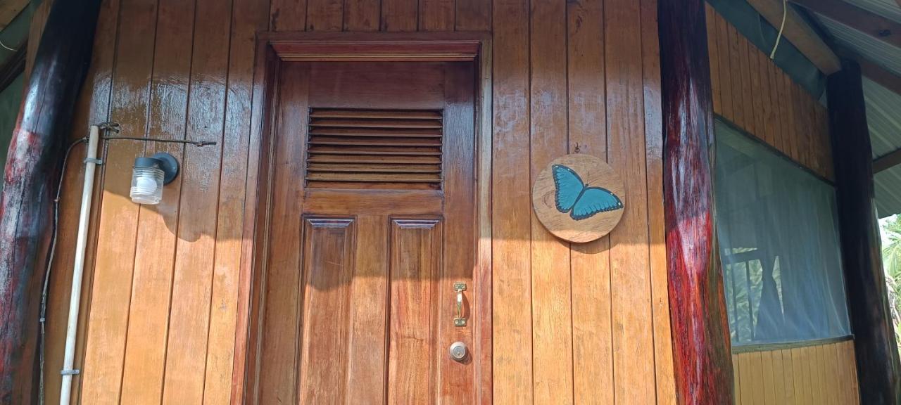 Sun Creek Lodge Punta Gorda Bagian luar foto