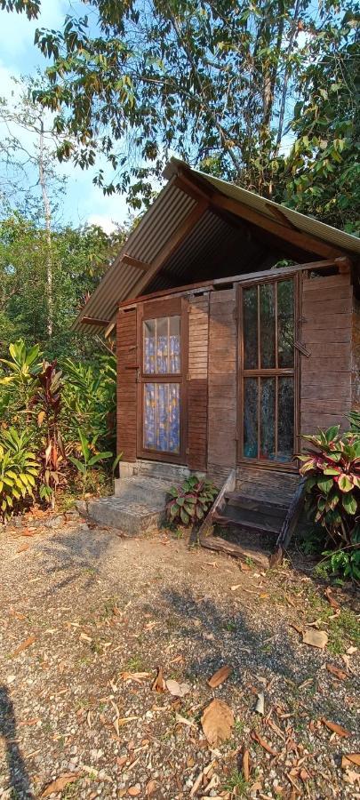 Sun Creek Lodge Punta Gorda Bagian luar foto