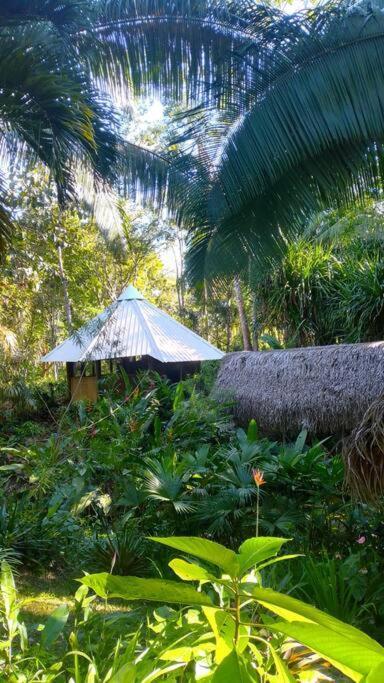 Sun Creek Lodge Punta Gorda Bagian luar foto