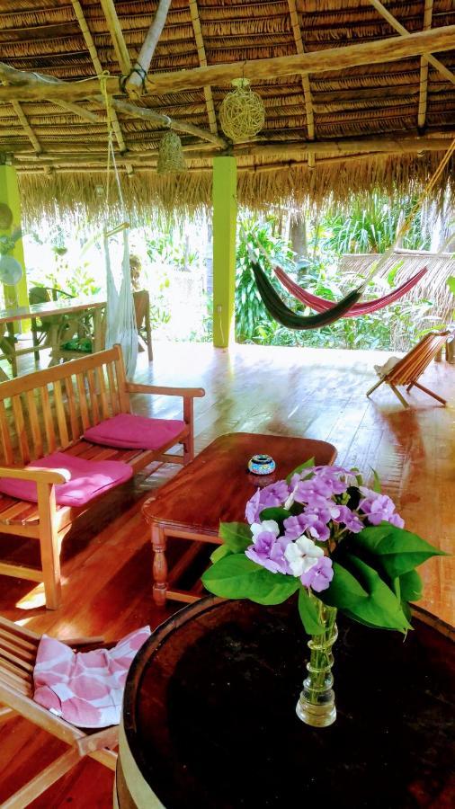 Sun Creek Lodge Punta Gorda Bagian luar foto