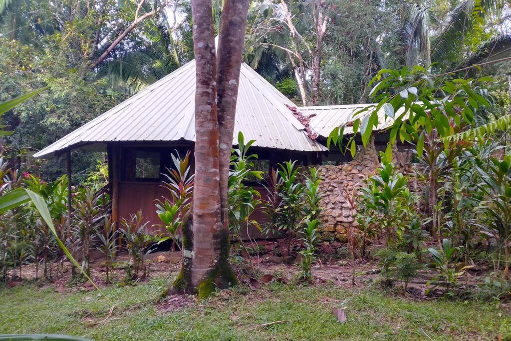 Sun Creek Lodge Punta Gorda Bagian luar foto