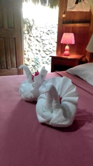 Sun Creek Lodge Punta Gorda Bagian luar foto