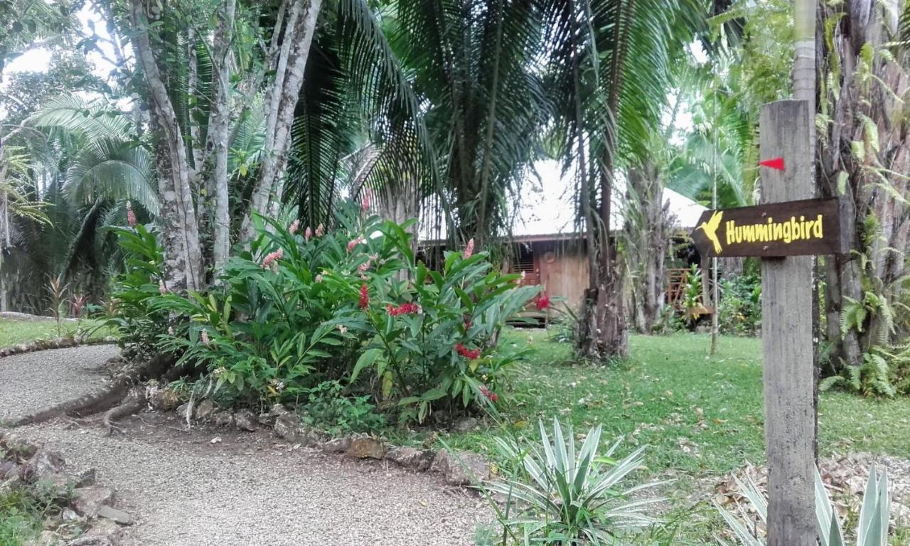 Sun Creek Lodge Punta Gorda Bagian luar foto