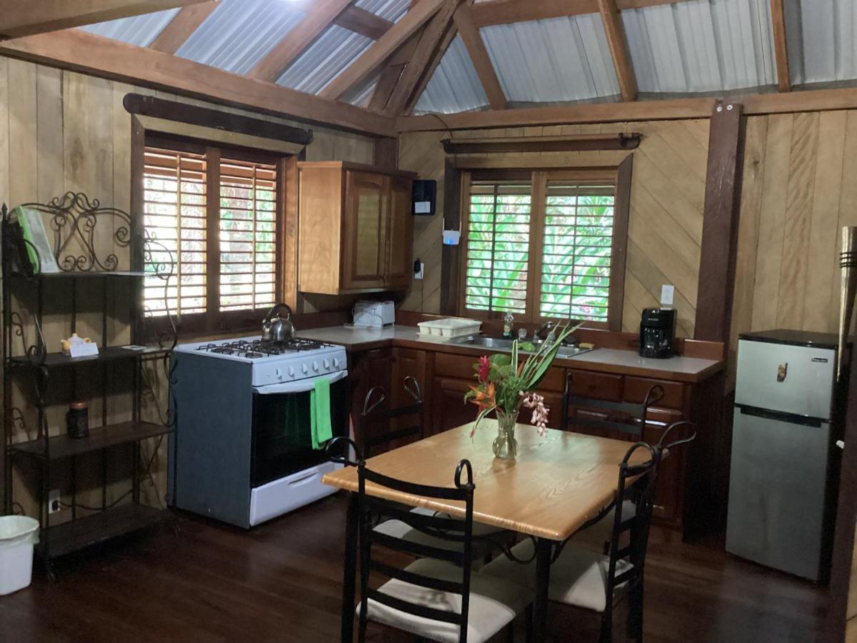 Sun Creek Lodge Punta Gorda Bagian luar foto
