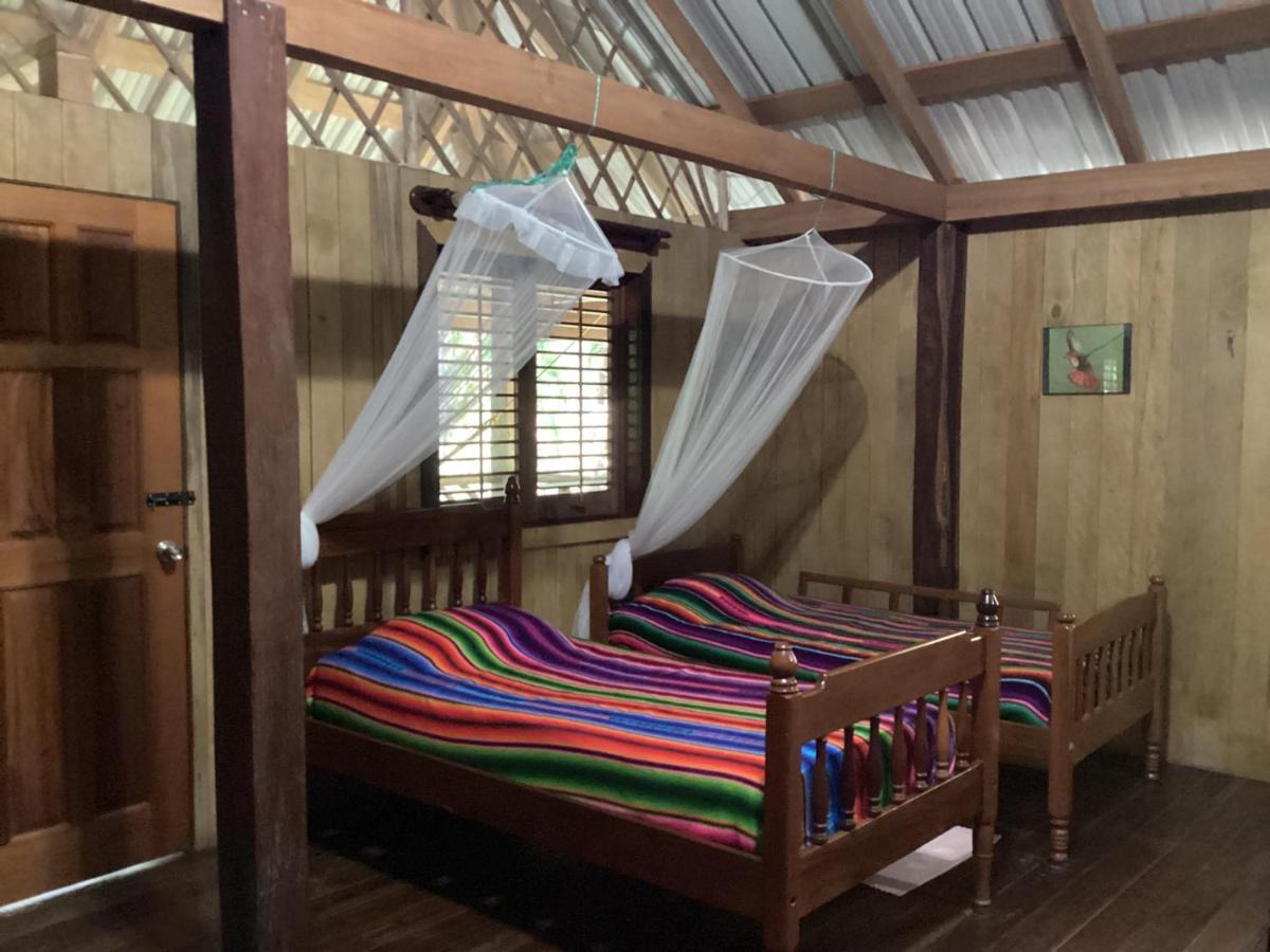 Sun Creek Lodge Punta Gorda Bagian luar foto