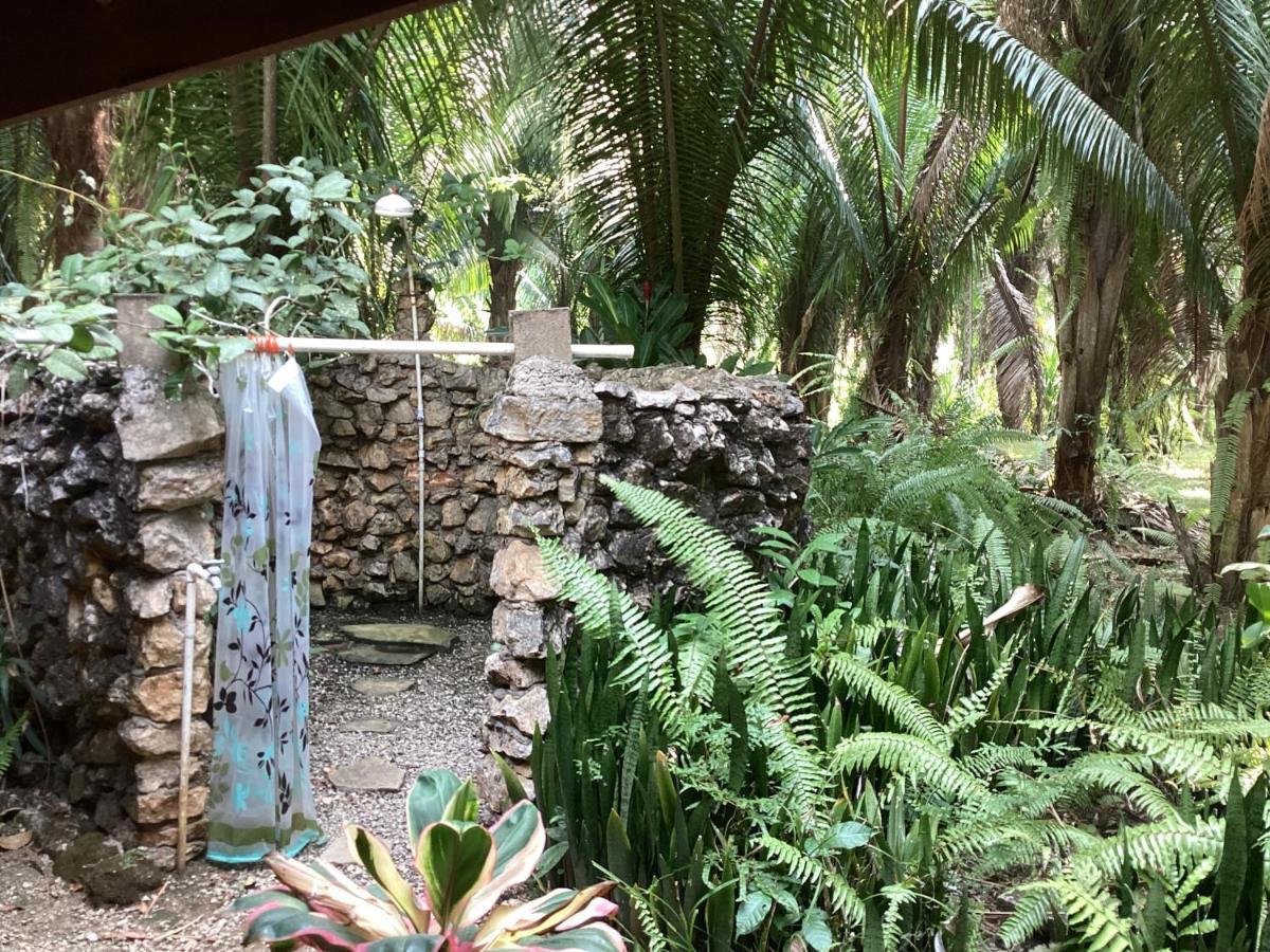 Sun Creek Lodge Punta Gorda Bagian luar foto