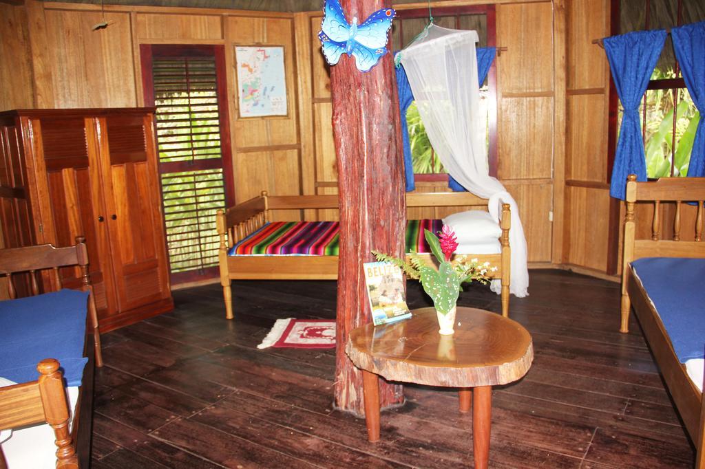 Sun Creek Lodge Punta Gorda Ruang foto
