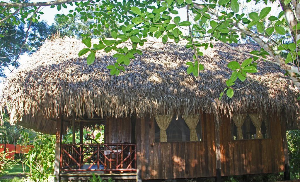 Sun Creek Lodge Punta Gorda Ruang foto
