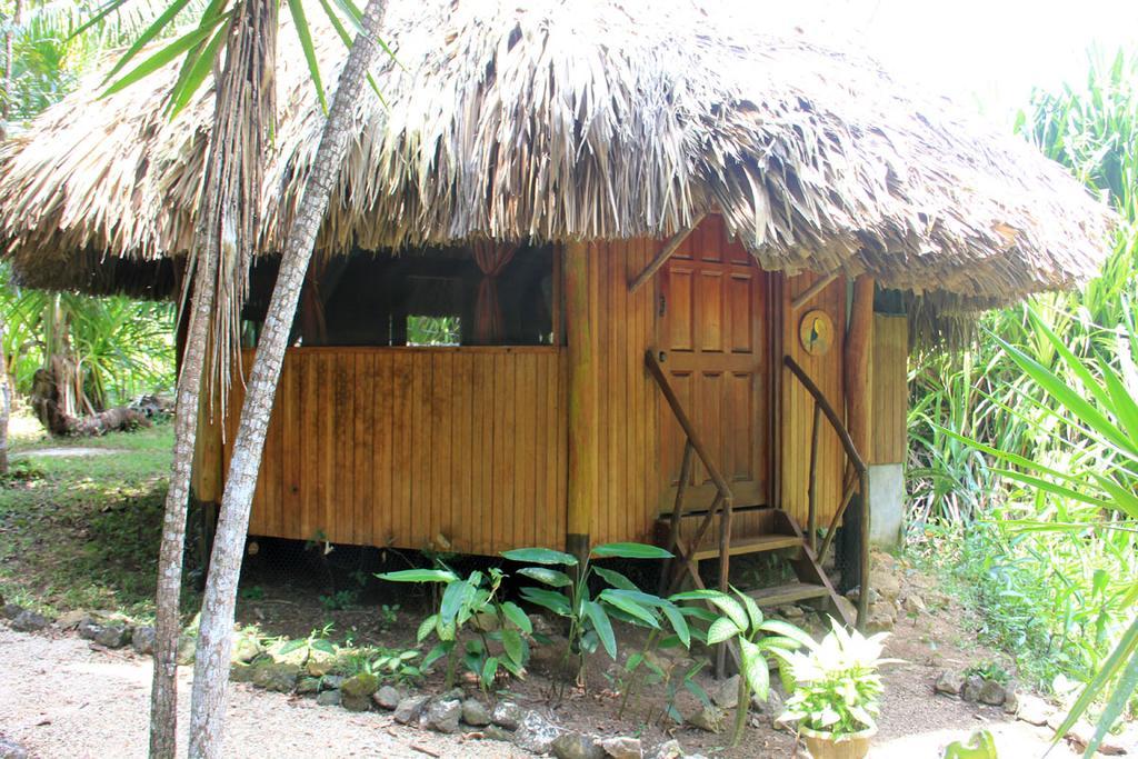 Sun Creek Lodge Punta Gorda Bagian luar foto