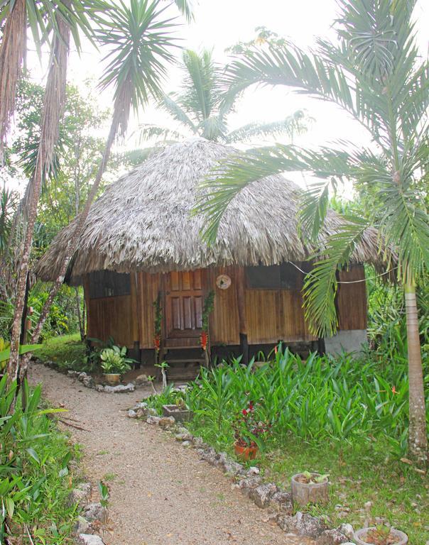 Sun Creek Lodge Punta Gorda Bagian luar foto