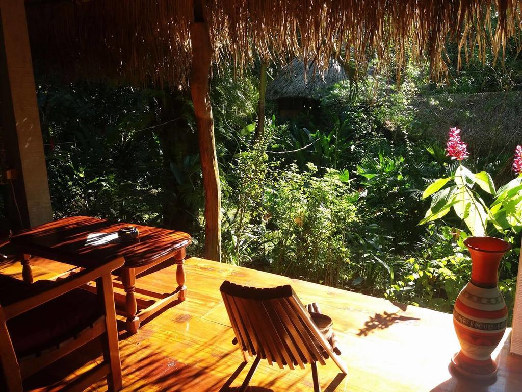 Sun Creek Lodge Punta Gorda Bagian luar foto