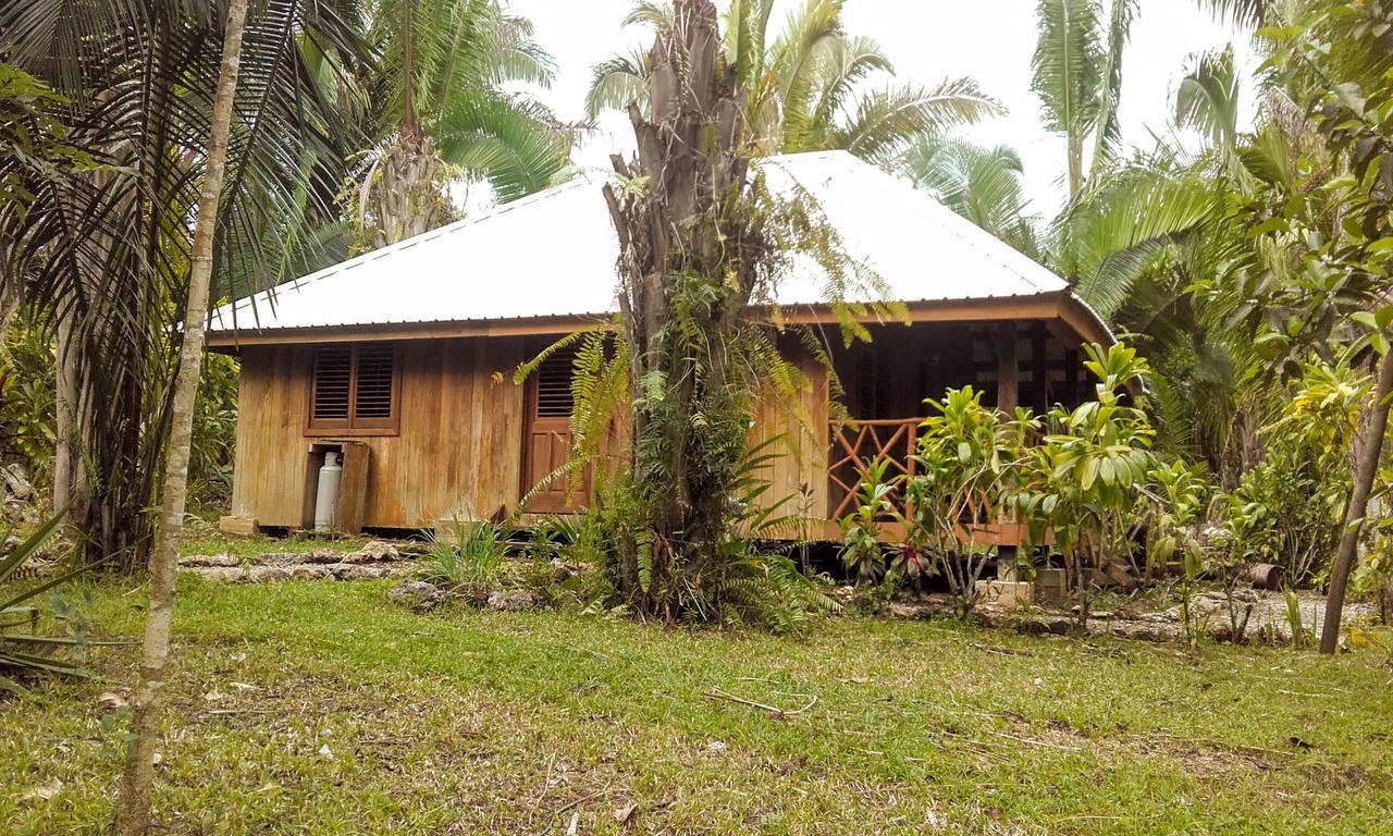 Sun Creek Lodge Punta Gorda Bagian luar foto