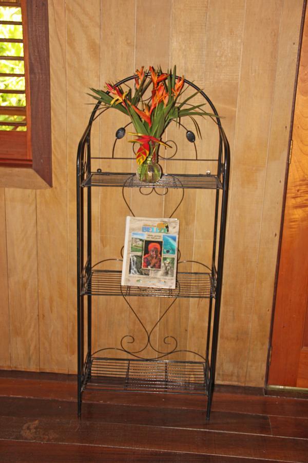 Sun Creek Lodge Punta Gorda Bagian luar foto