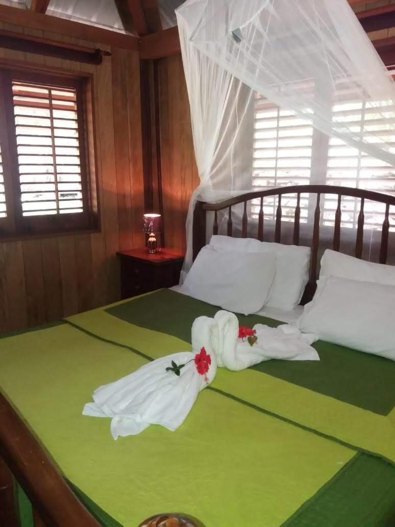 Sun Creek Lodge Punta Gorda Bagian luar foto