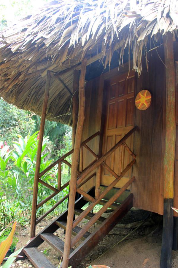 Sun Creek Lodge Punta Gorda Bagian luar foto