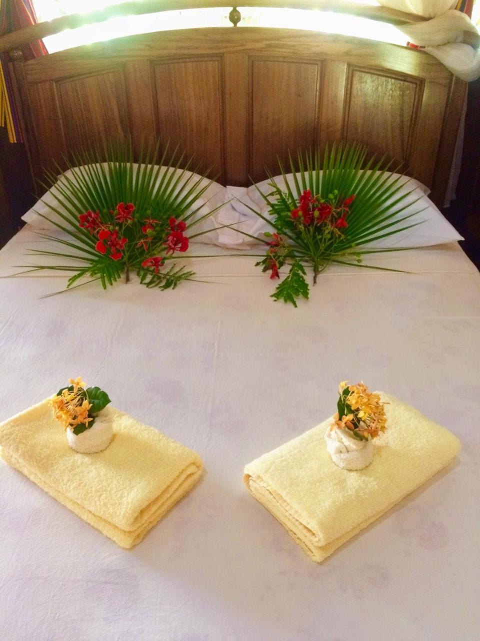 Sun Creek Lodge Punta Gorda Bagian luar foto